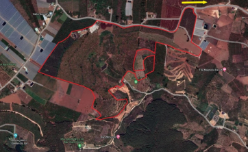 [L&acirc;m H&agrave;] B&aacute;n quỹ đất lớn rộng 26ha tại M&ecirc; Linh - L&acirc;m H&agrave;, c&aacute;ch trung t&acirc;m Đ&agrave; Lạt chỉ 18km