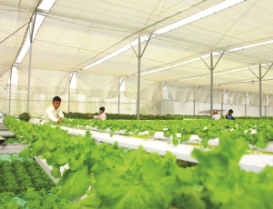Lợi ích kép từ phát triển kinh tế tuần hoàn